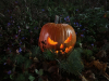 2024111_halloween-1